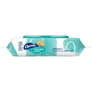 CHARMIN FRESHMATES 6/40 TUB